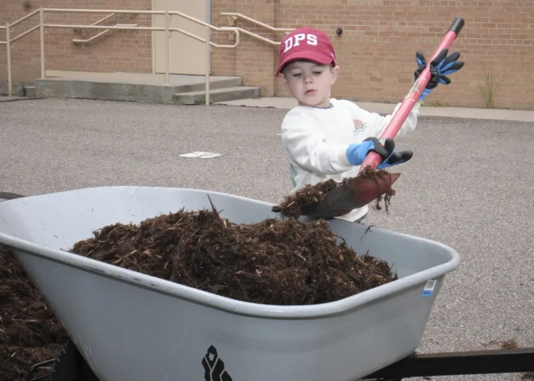 A white young boy wearing a hat that says "DPS" holds a shovel and fills a wheel barrow with mulch.