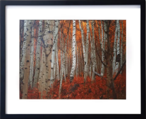 Screenshot 2026-04-08 190741