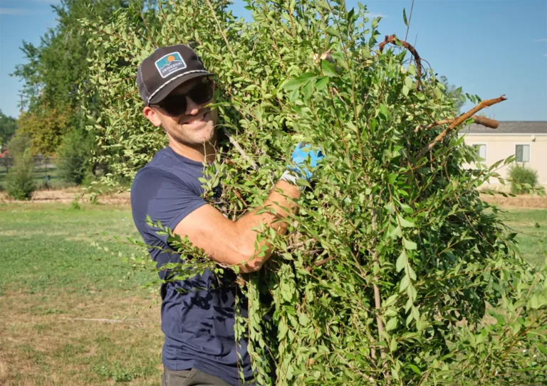 A man carries a large amount of pulled weeds on a service day