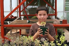 kid-planting